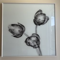 Modern Wall Art - 24” X 24”