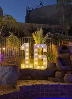 4FT Marquee Light Up Numbers (16)
