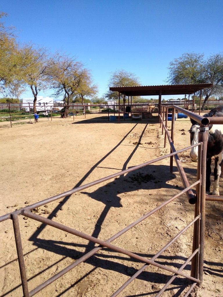 Horse Stalls In Queen Creek