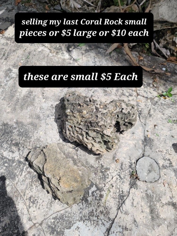 Selling My Last Coral Rock Small Pieces Each $5. # large $10 Each