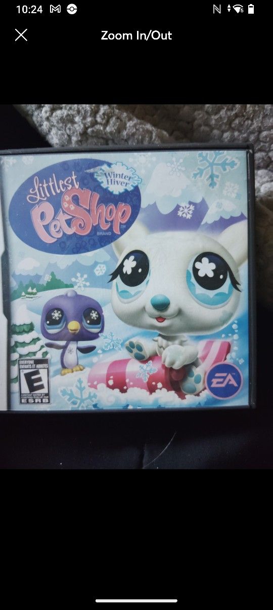 Nintendo Ds Game
