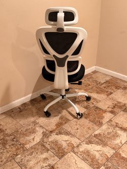 Ergonomic Office Chair