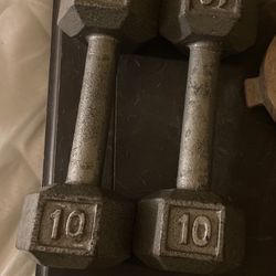 10 pound dumbbells 