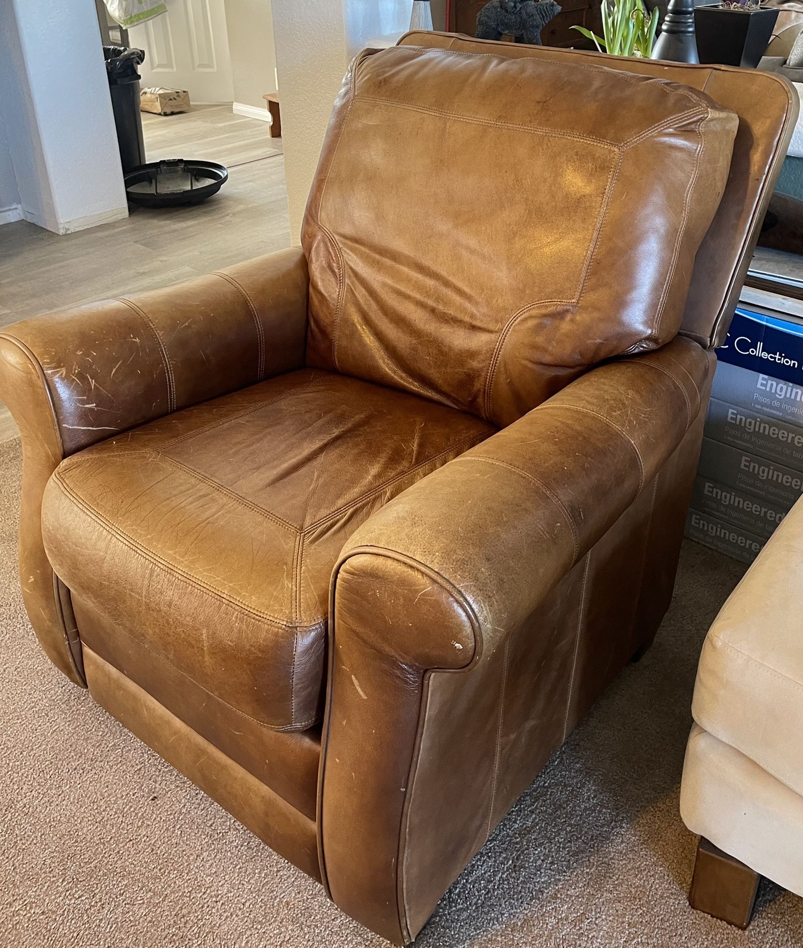Leather Recliner