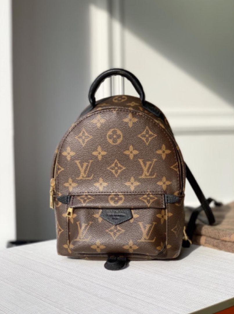 Small LV Book bag
