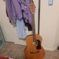 Washburn acoustic folk guitar f-10s