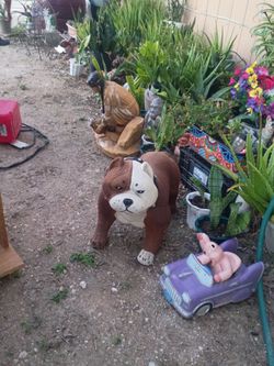 Pitbull piggy bank