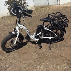Rad Power Electric Bike 