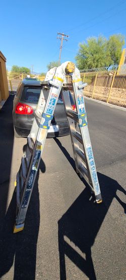 Werner multi position ladder