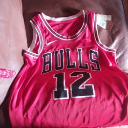 Bull  12