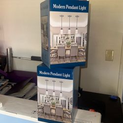 2 Modern Pendant Lights