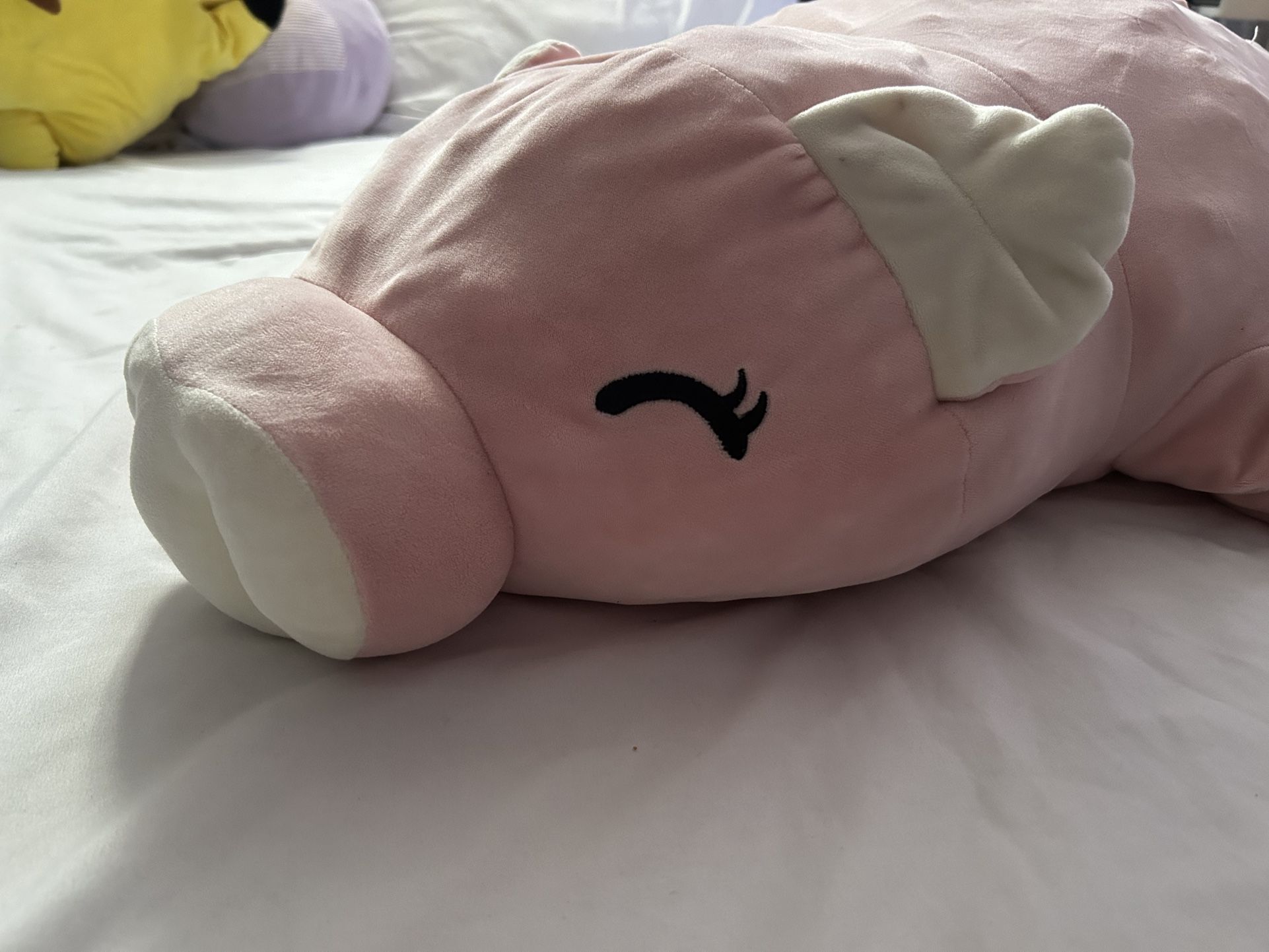 Plush Pillow