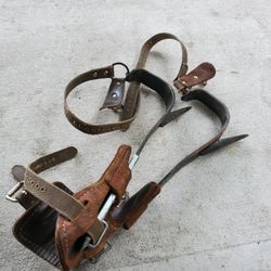 Tree climbing spikes