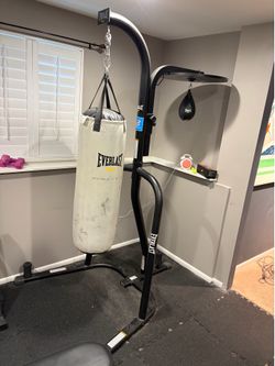 Punching bag & Speed bag