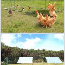Large metal chicken coop,