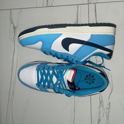 Nike Dunks N7