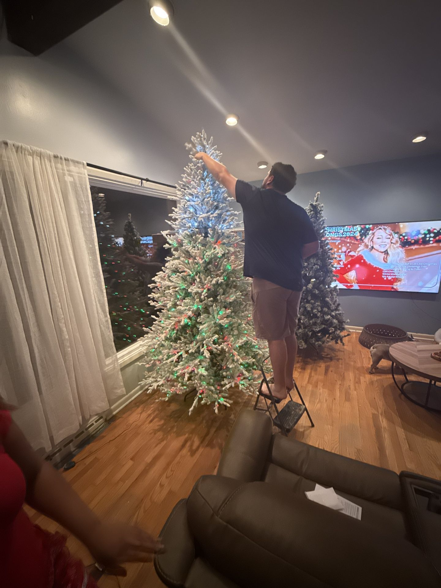 9 Foot Tree 
