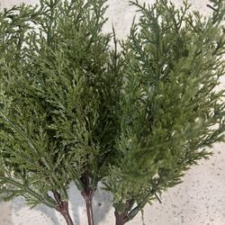 Realistic Pine Branches 