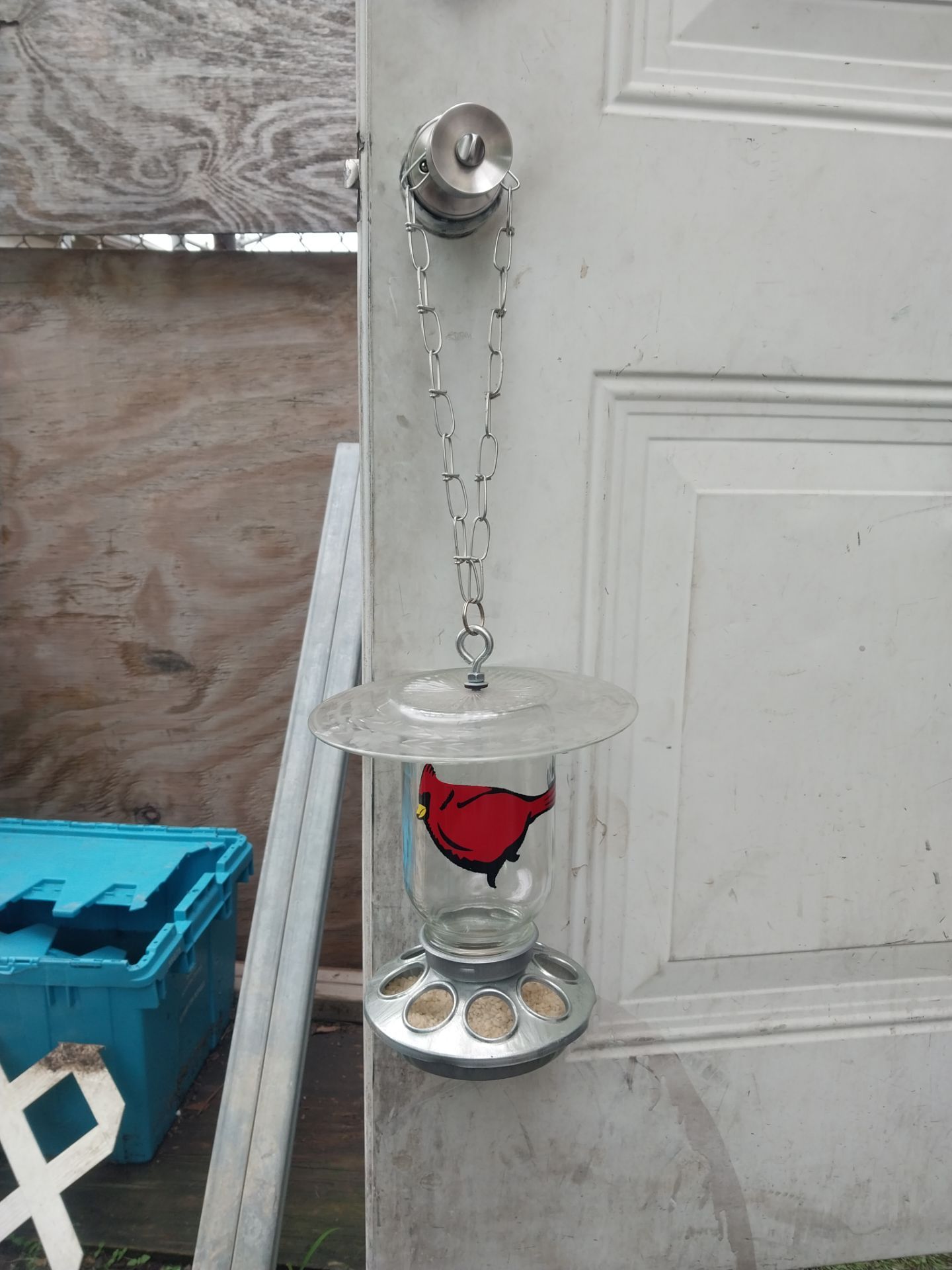 Wild Bird Feeder