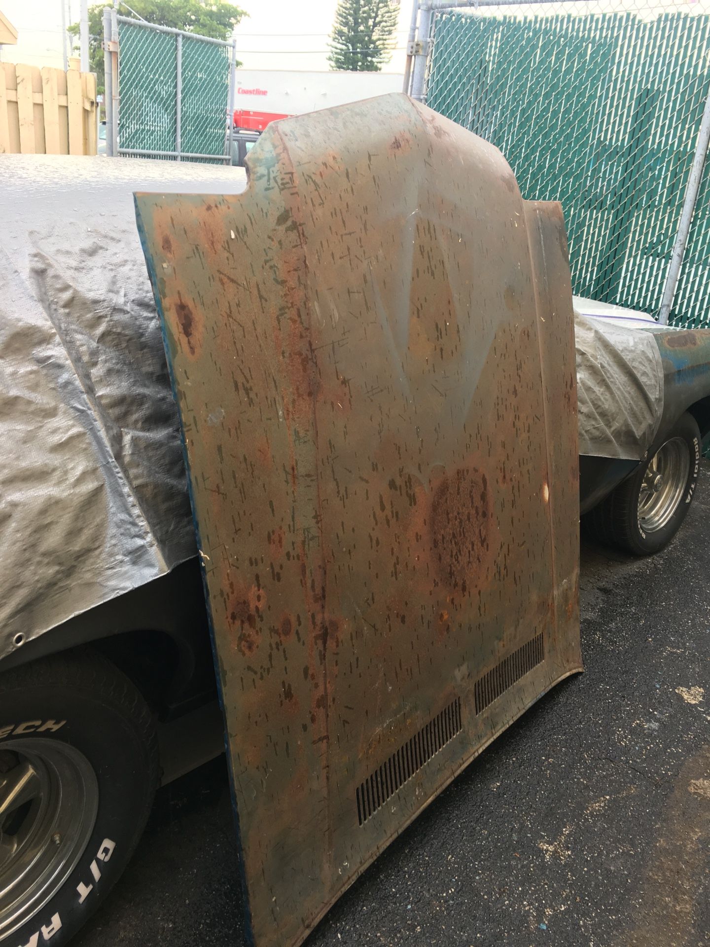 Chevelle Hood
