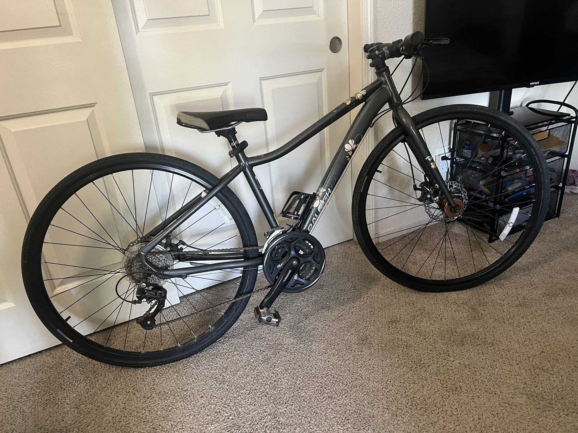Raleigh Bike