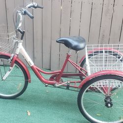 Adult Tricycle 