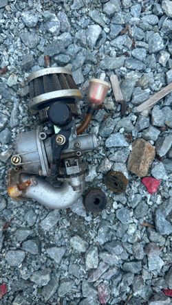 Carburetor with Air Filter and Fuel Filter