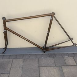 Track Bike Frame