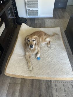 53” X 42” Bedsure Orthopedic Memory Foam Dog bed