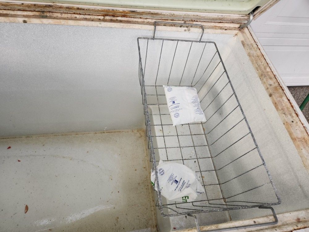 Sears And Roebuck Coldspot Chest Freezer