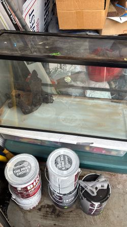 Bearded Dragón Enclosure