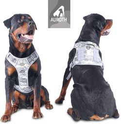 Dog vest