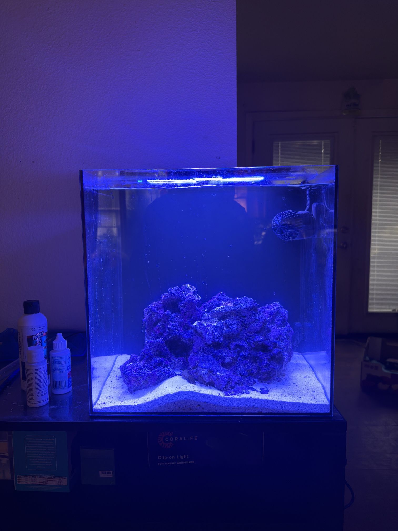 Hello Reef Clownfish Bundle