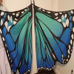 Butterfly Wings