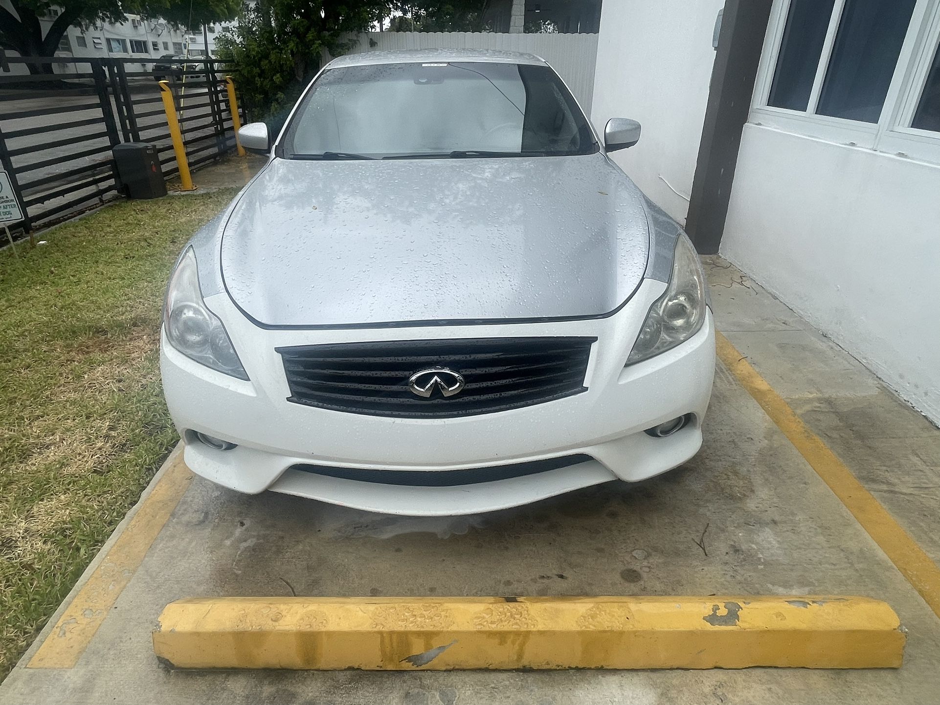 G37 Coupe Headlights
