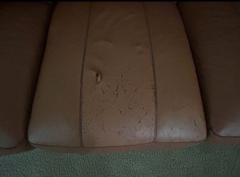 Couch for sale