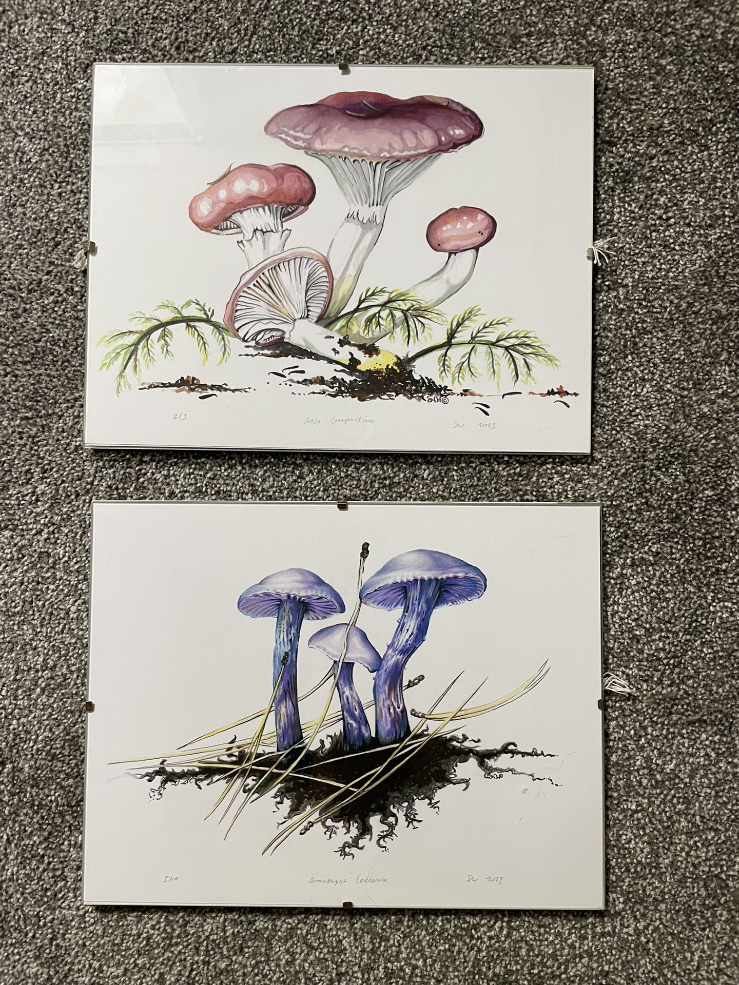 Mushroom Prints (8.5"x11")