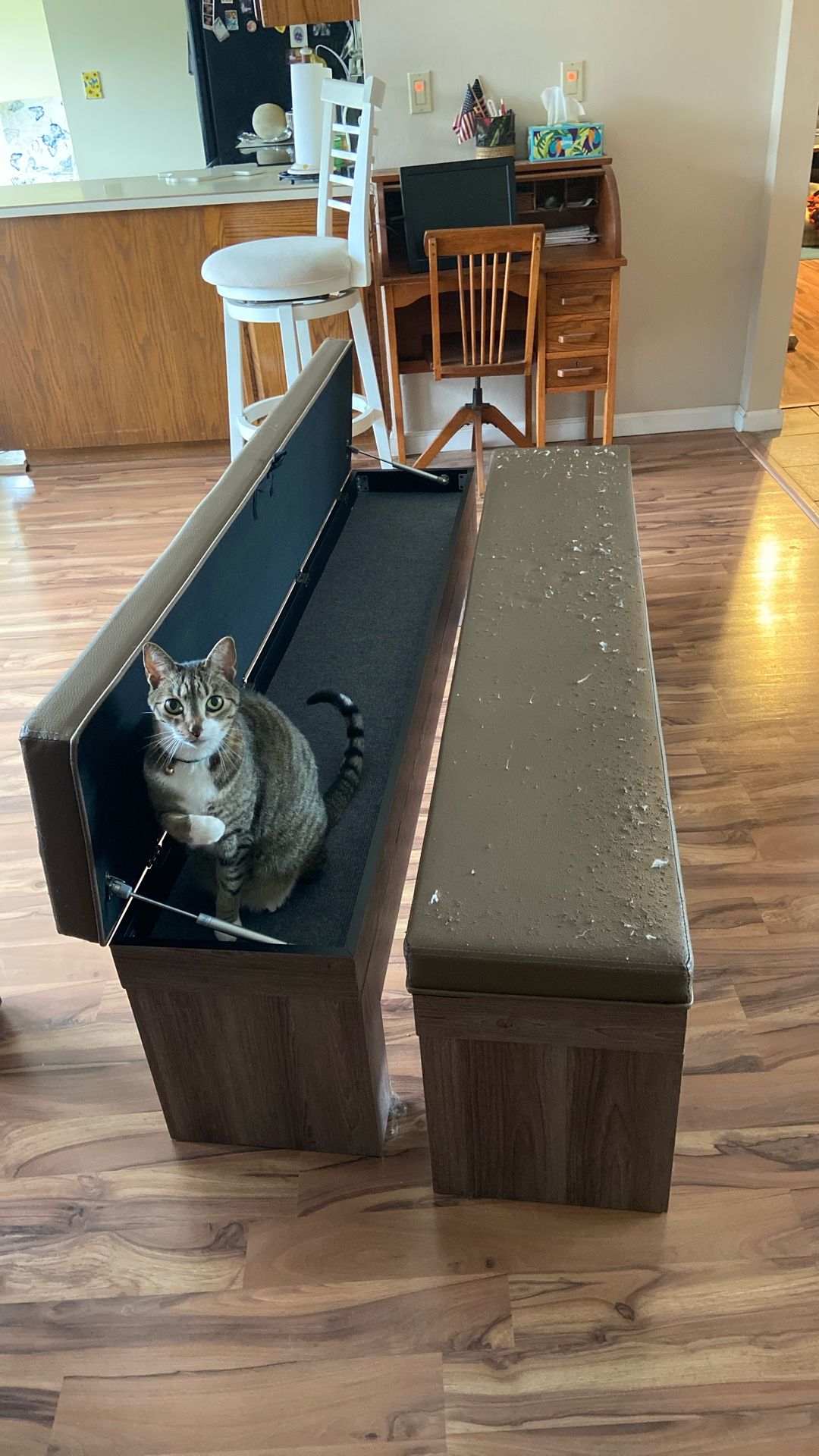 Two Benches With Storage