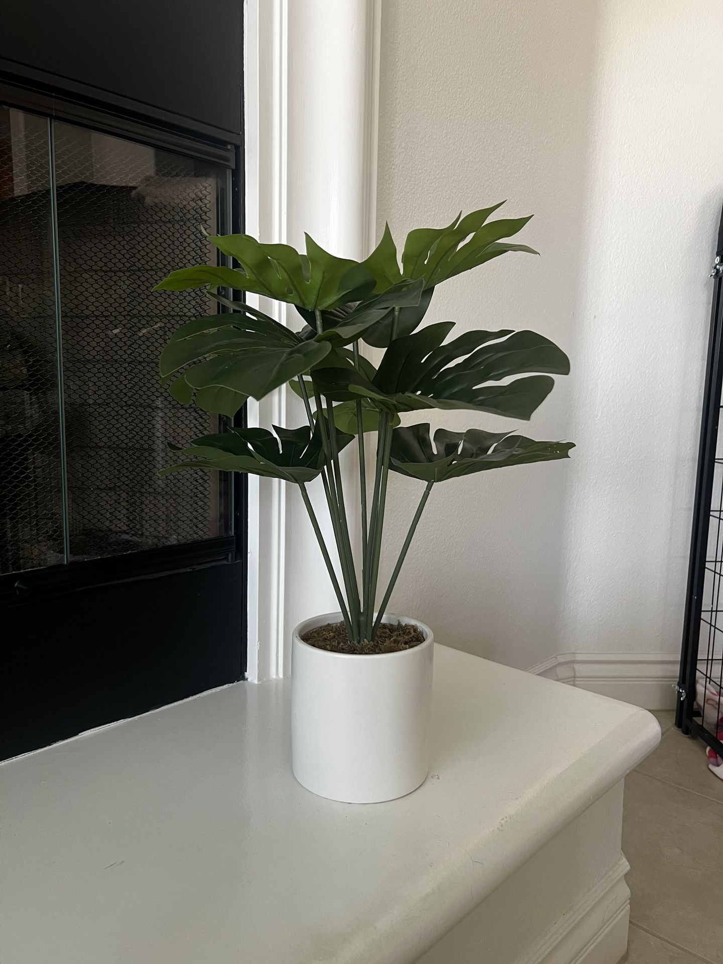 Fake Plant