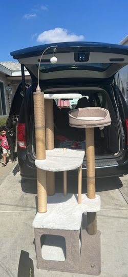Cat House with swing toy