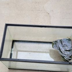 Turtle Or Fish Tank