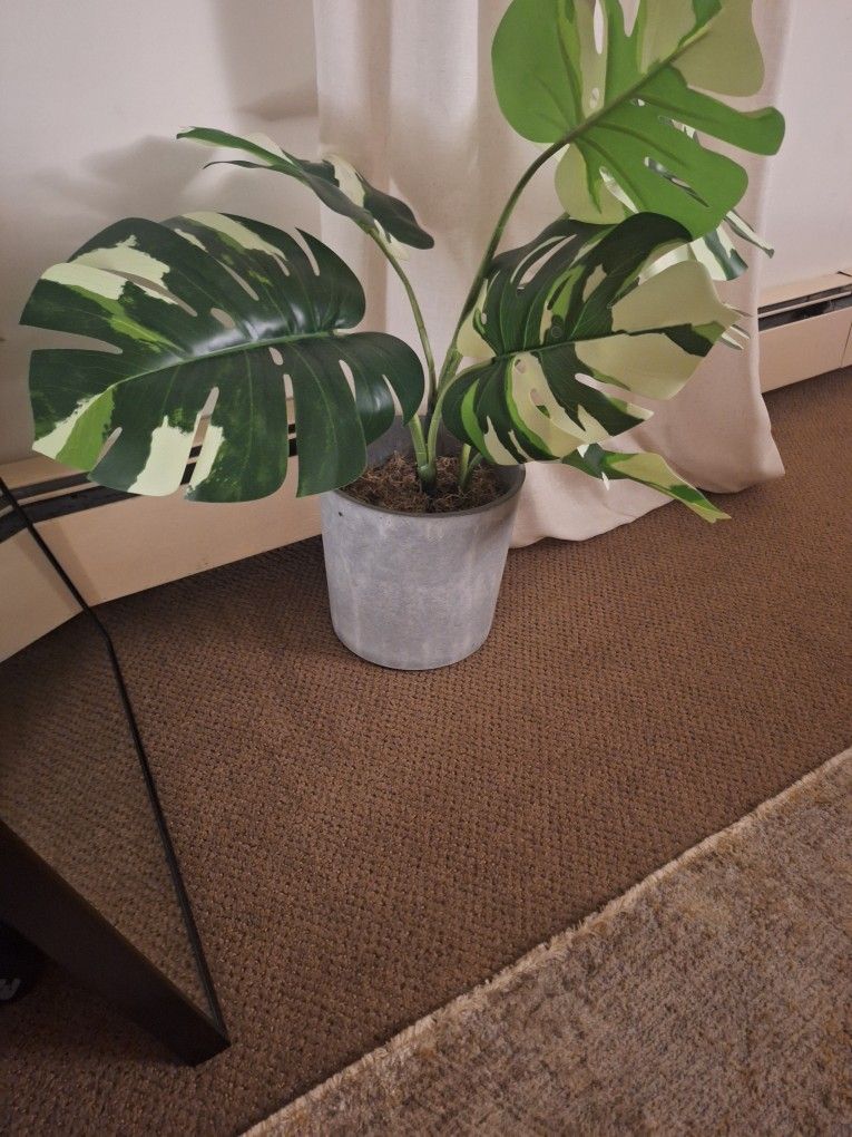 Fake Ikea Plant And Gray Planter