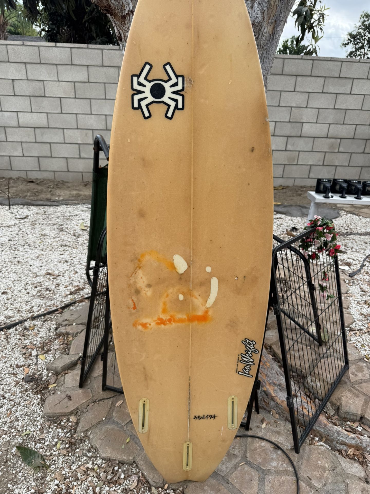 Surfboard