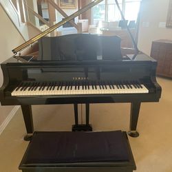 Beautiful Baby Grand Piano