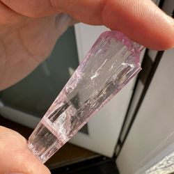 Museum Grade Kunzite Pendant 
