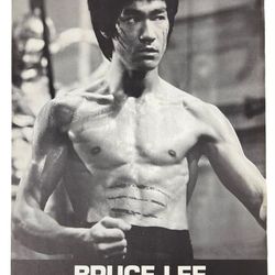 Original 1973 Bruce Lee "Enter the Dragon" Promo Poster 