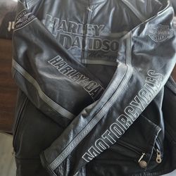 Men's Harley Davidson Leather Jacket