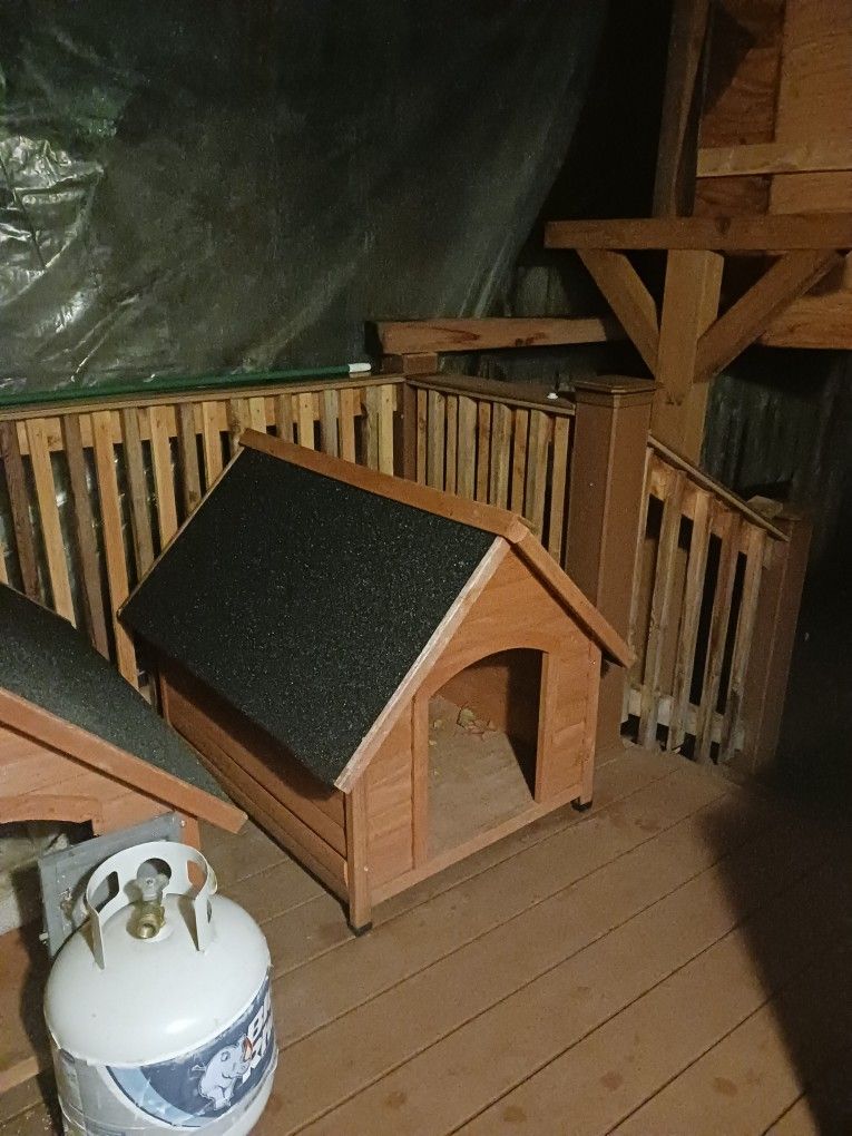 Dog House