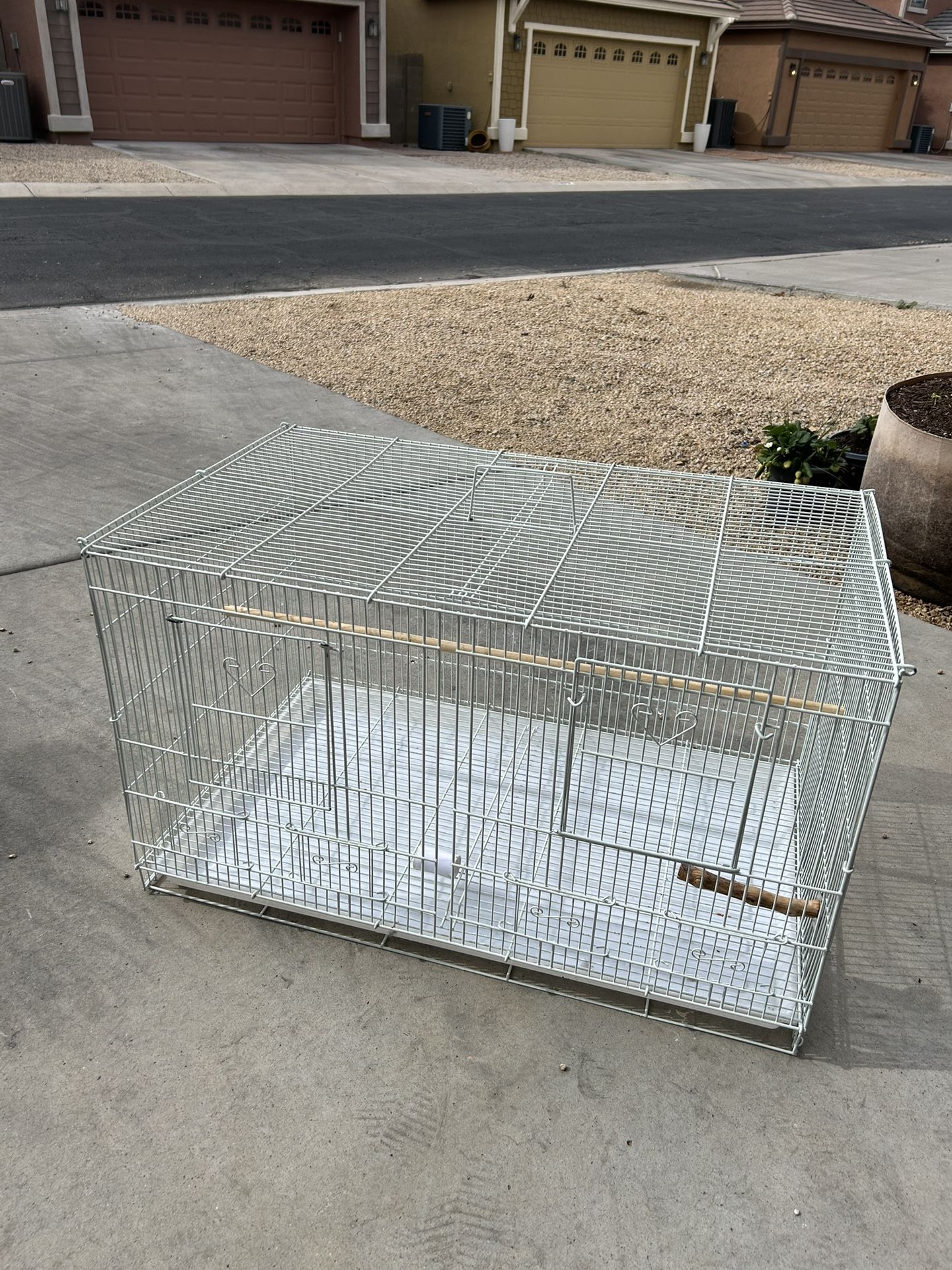 Bird Cage 