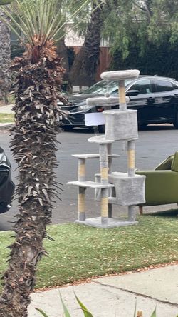 FREE CAT TREE AND BEAN BAG (CLEAN!)